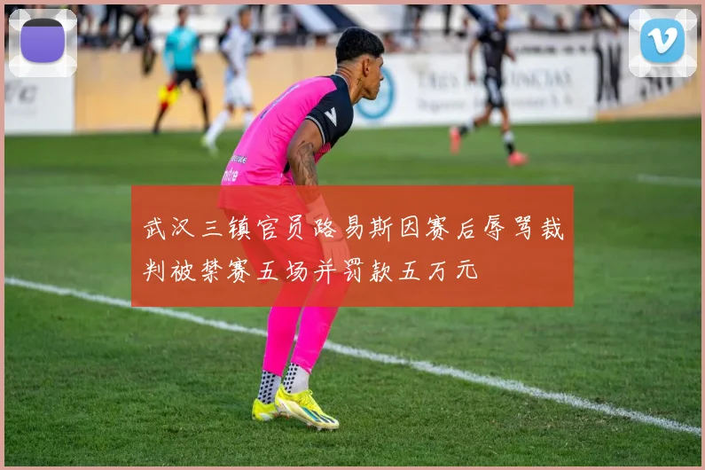 武汉三镇官员路易斯因赛后辱骂裁判被禁赛五场并罚款五万元